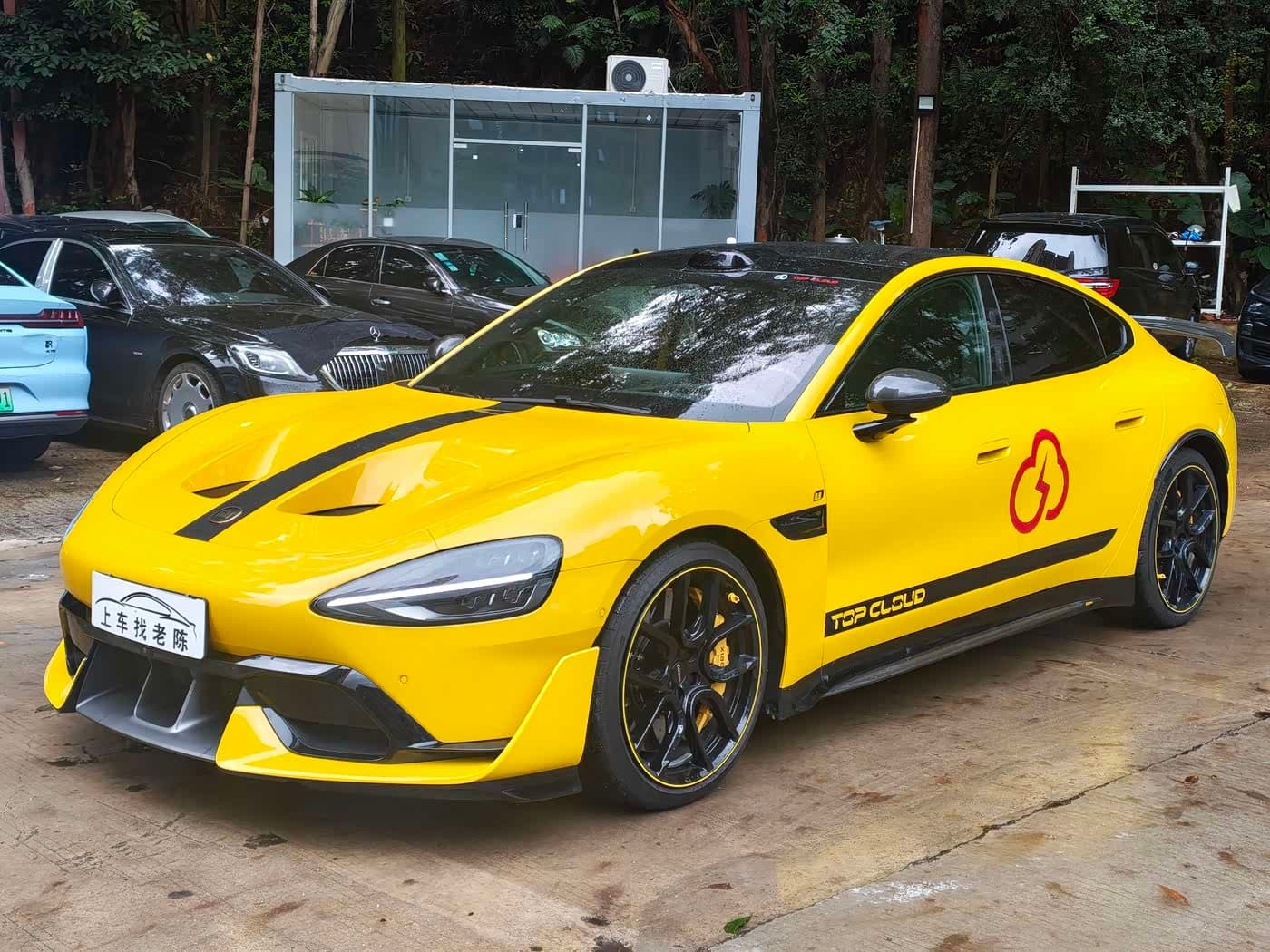 Emerging Chinese EV Brands