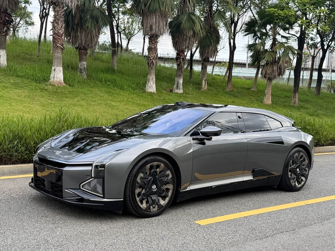 2022 Hiphi Z