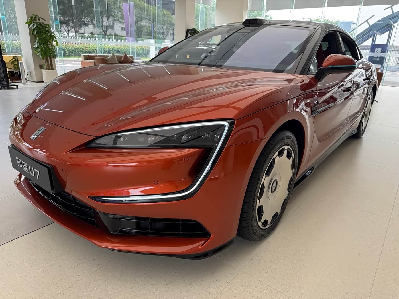 2026 Yangwang U7