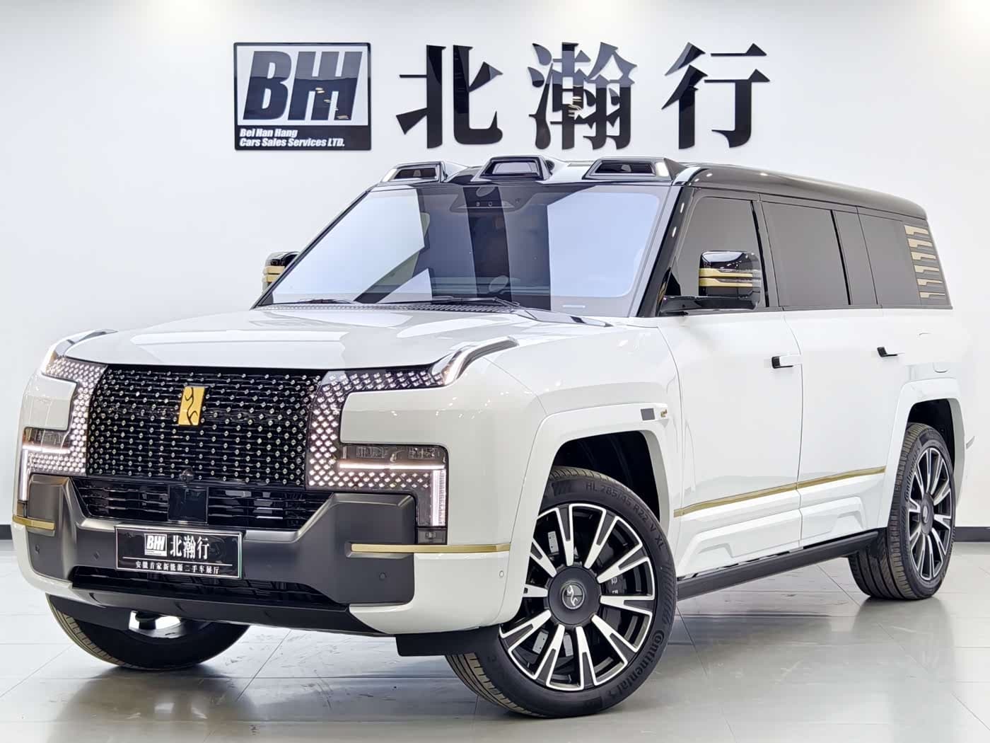 2025 Yangwang U8 L