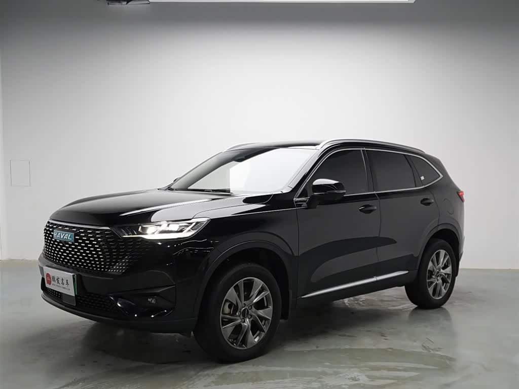 2022 Haval H6 New Energy