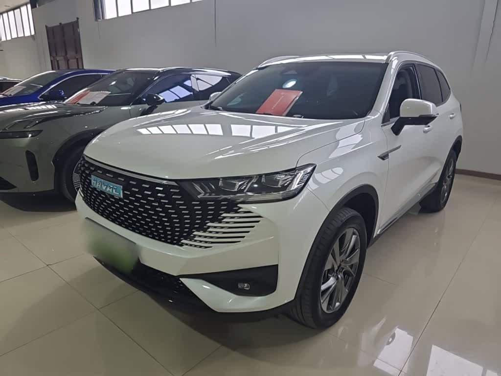 2022 Haval H6 New Energy
