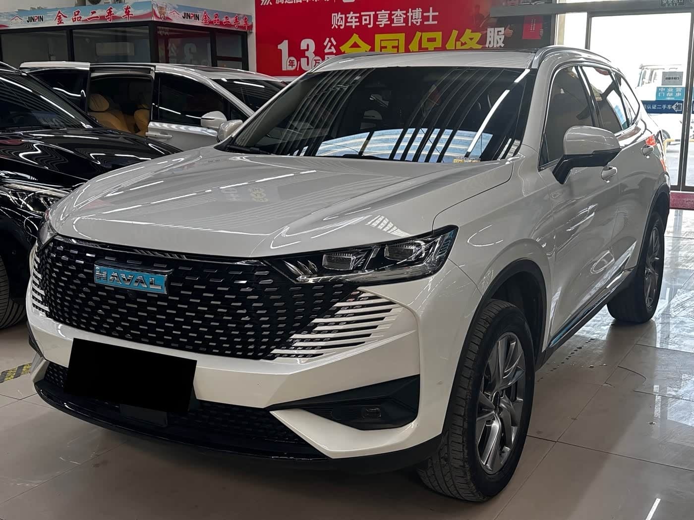 2022 Haval H6 New Energy