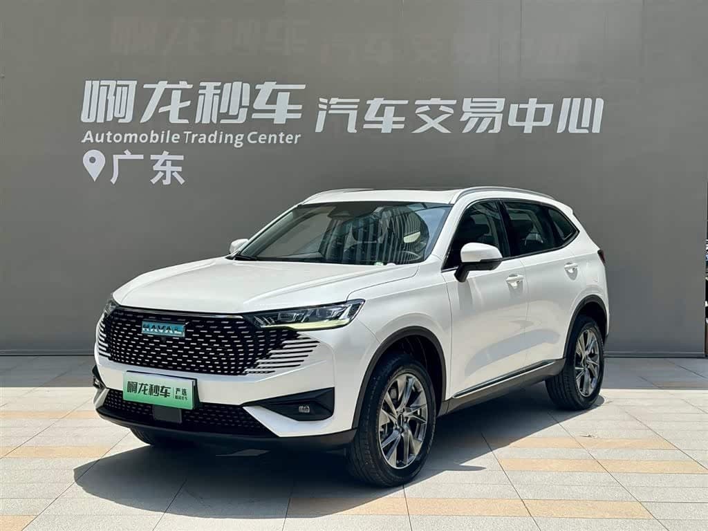 2022 Haval H6 New Energy