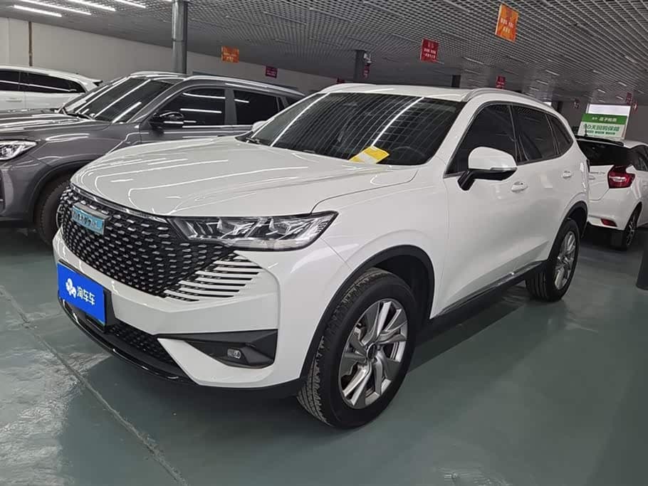 2022 Haval H6 New Energy