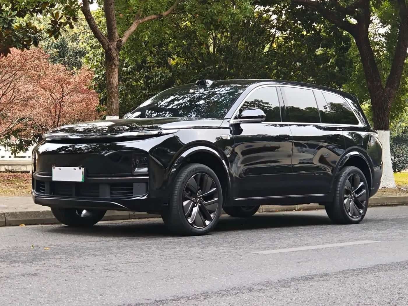 2022 Li Auto Li Xiang L9 front exterior
