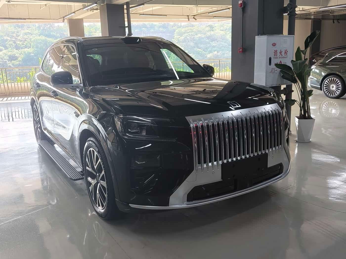 2026 Zeekr 8X