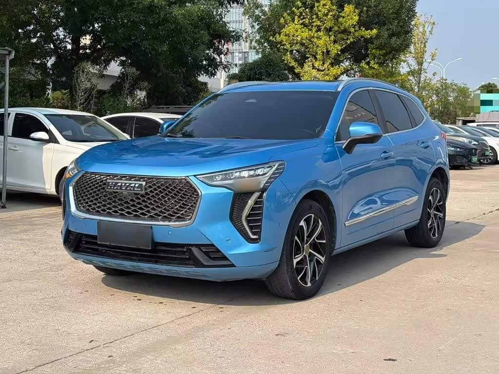 2021 Haval First Love