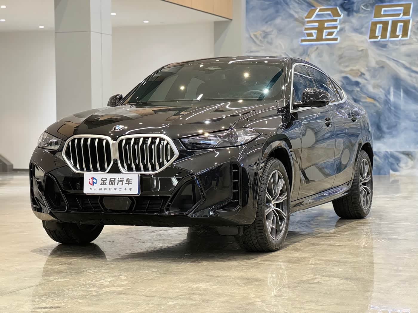 2023 BMW X6 front exterior