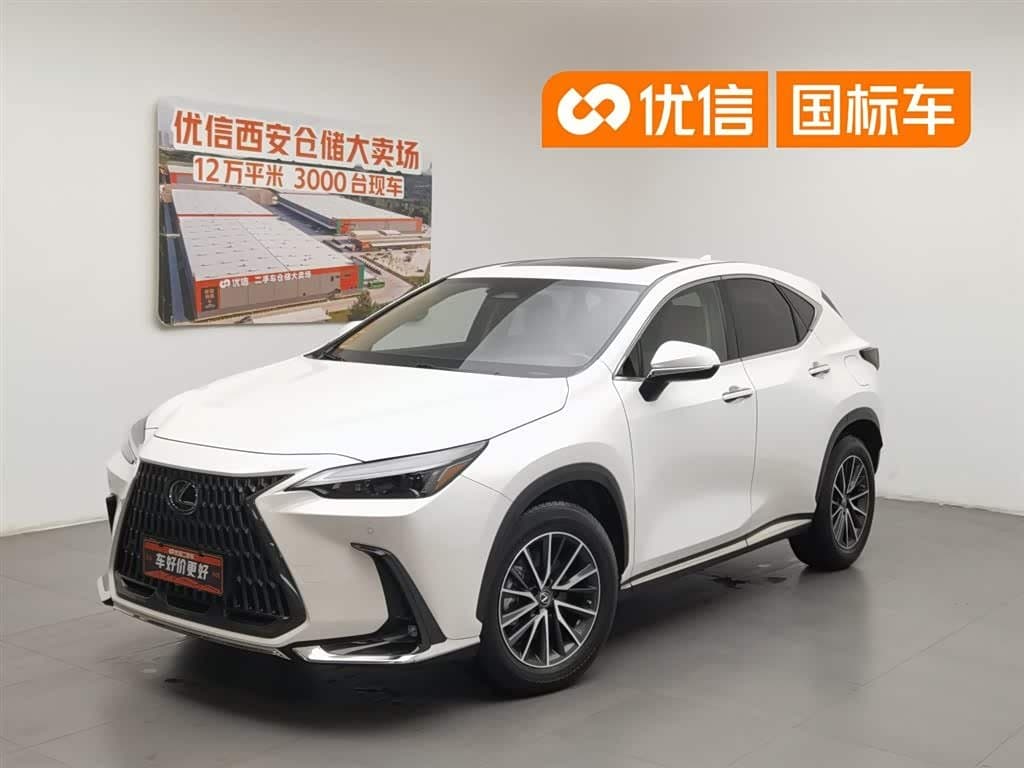 2021 Lexus NX New Energy front exterior