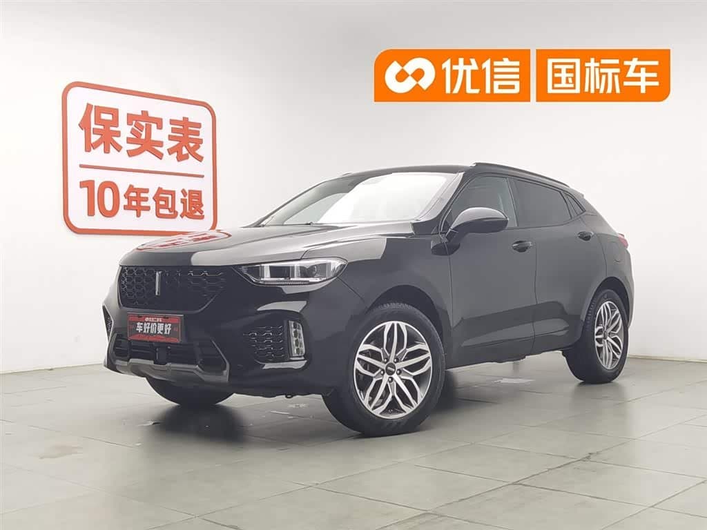 2017 WEY VV5
