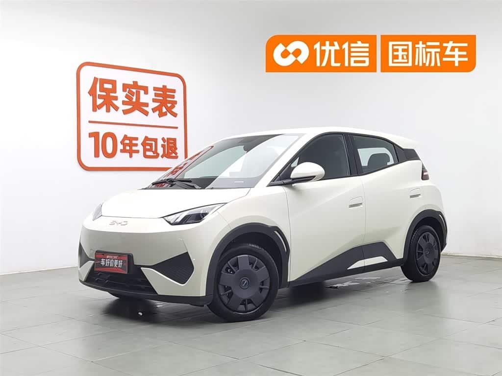 2025 BYD Seagull