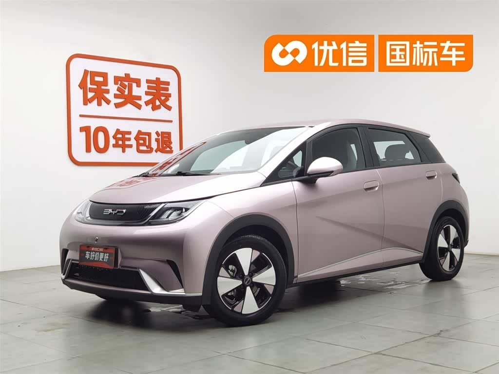 2022 BYD Dolphin