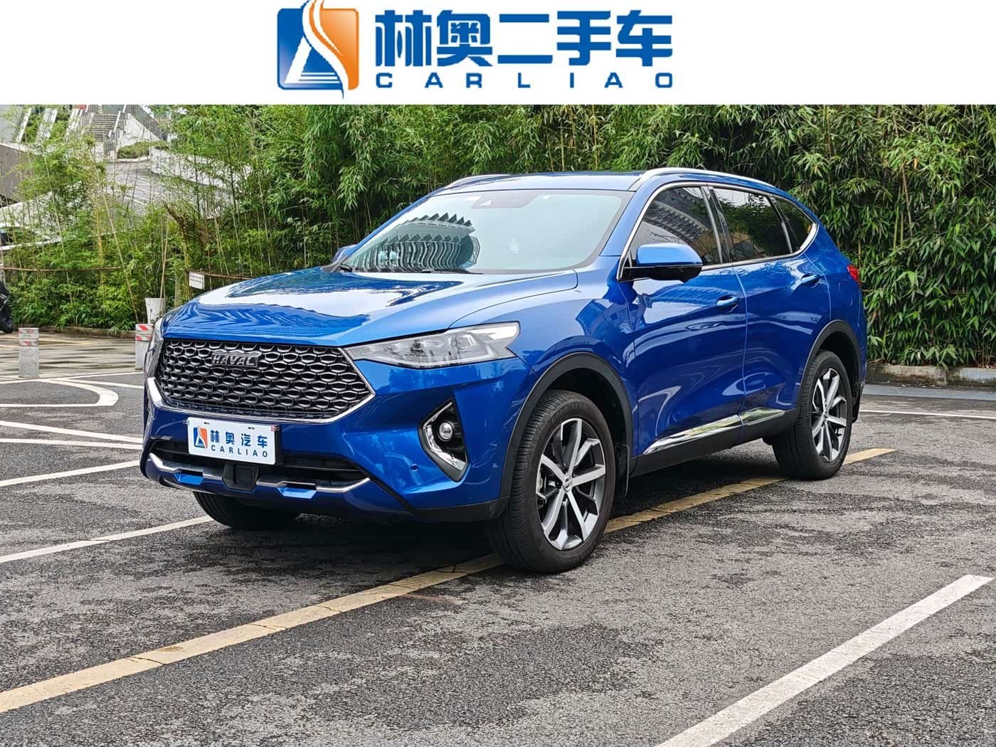 2019 Haval F7