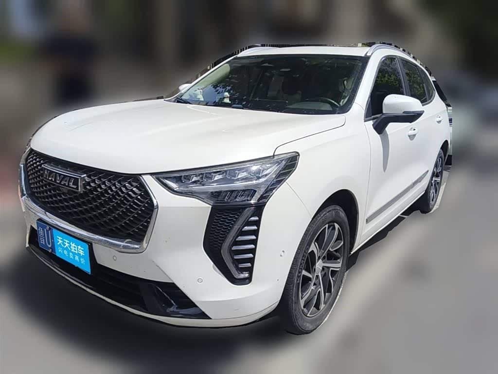 2021 Haval First Love