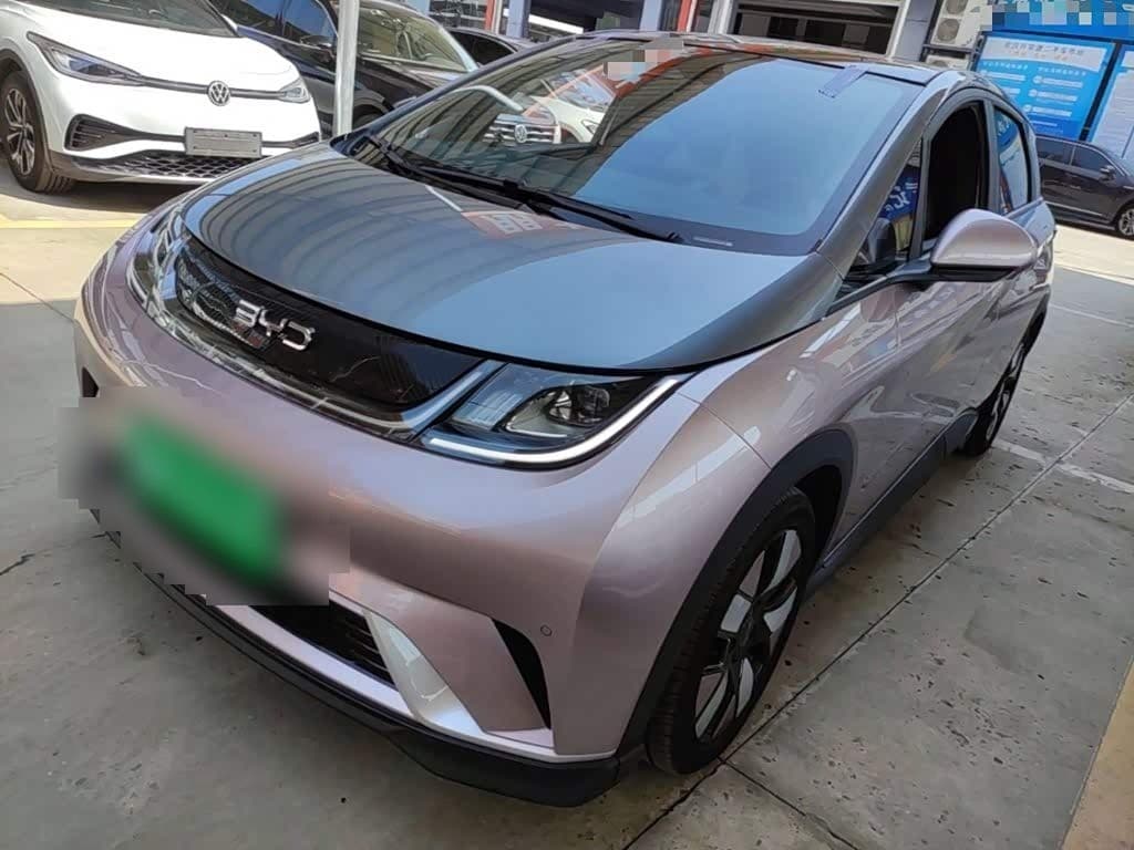 2024 BYD Dolphin front exterior
