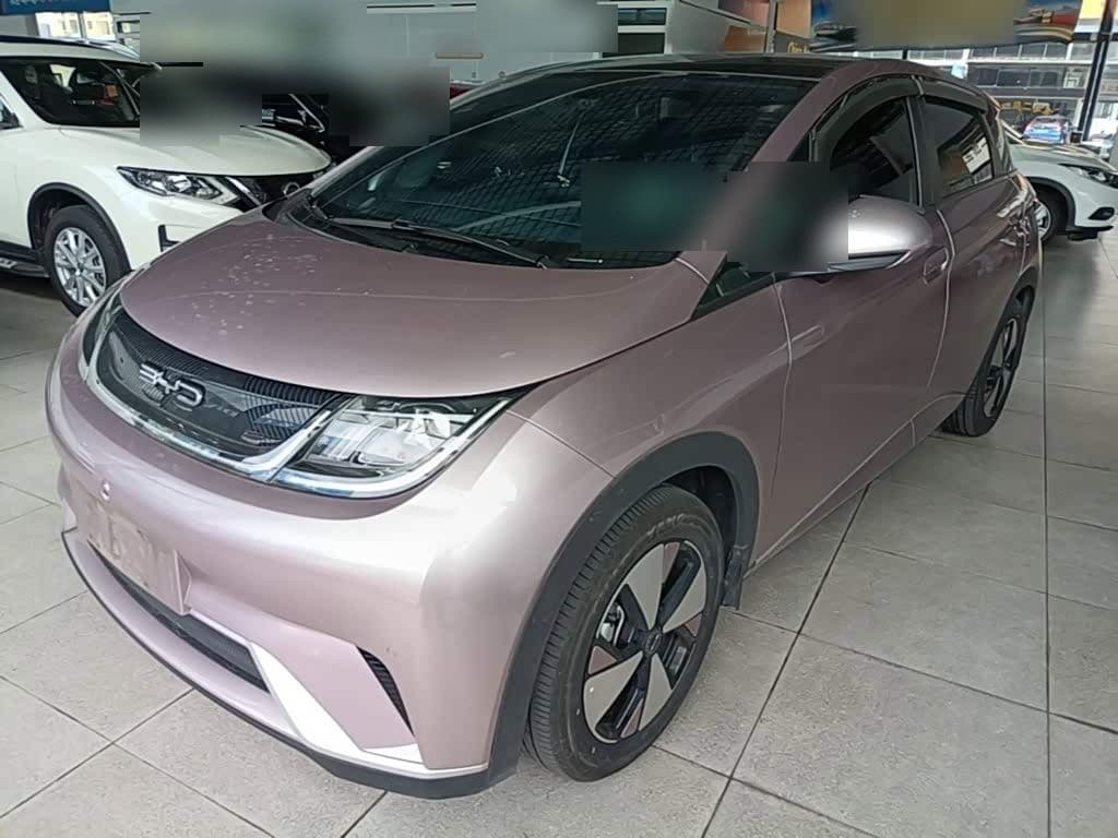 2022 BYD Dolphin front exterior