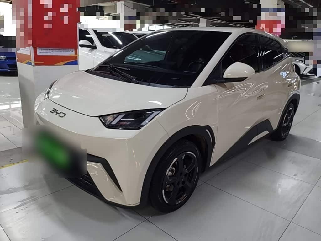 2024 BYD Seagull