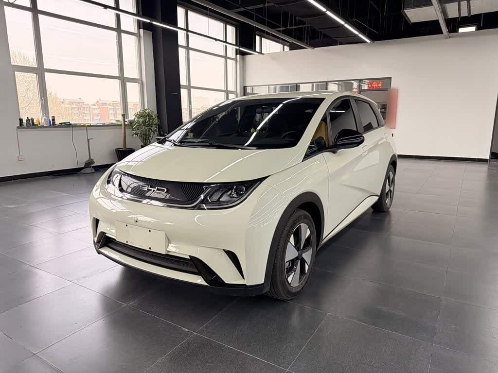 2022 BYD Dolphin