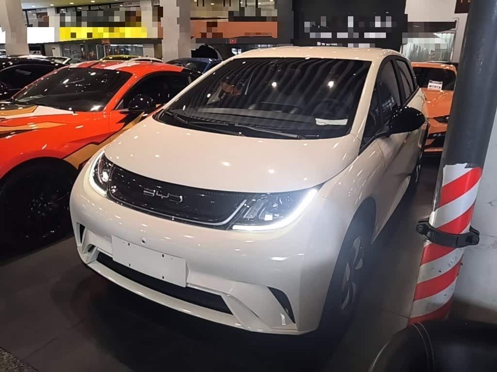 2024 BYD Dolphin front exterior
