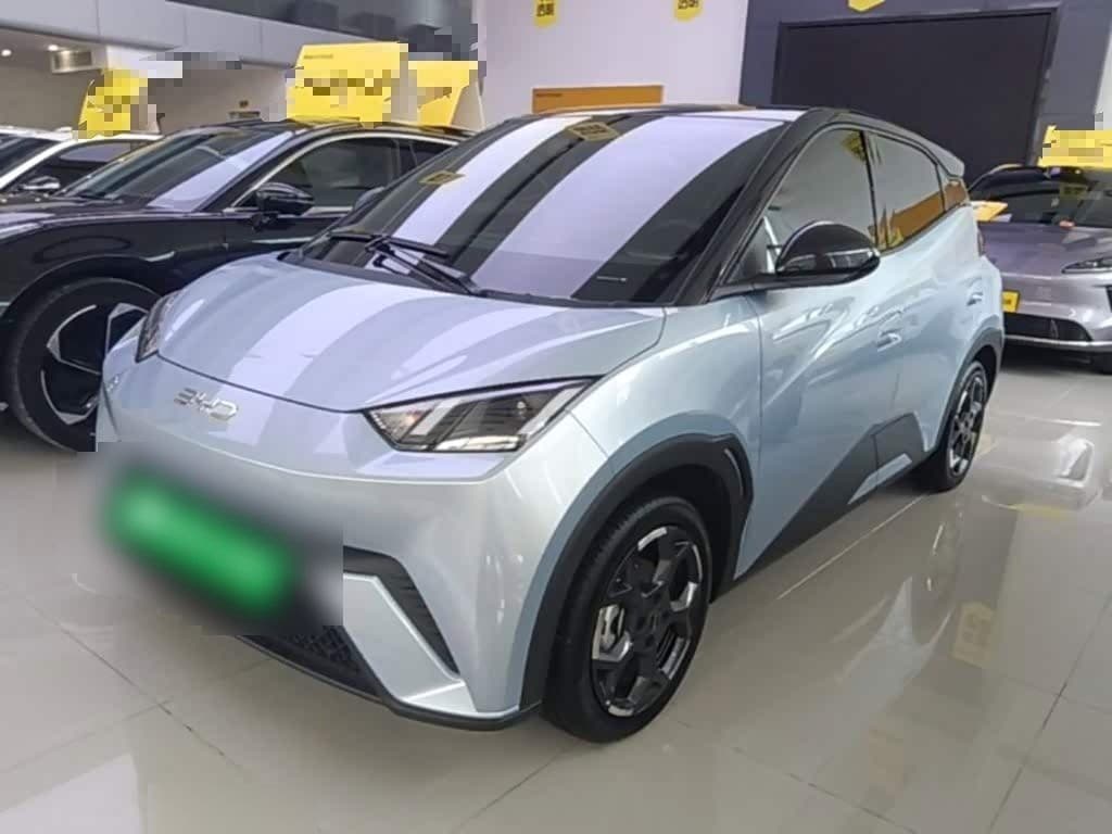 2024 BYD Seagull