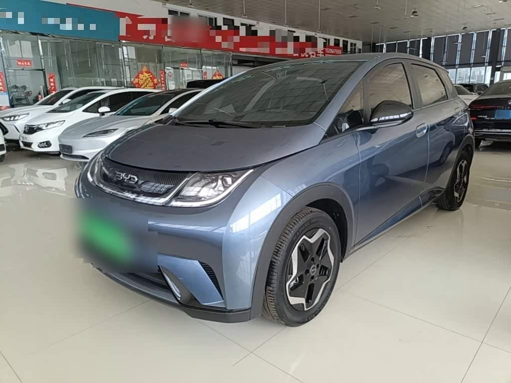 2024 BYD Dolphin front exterior