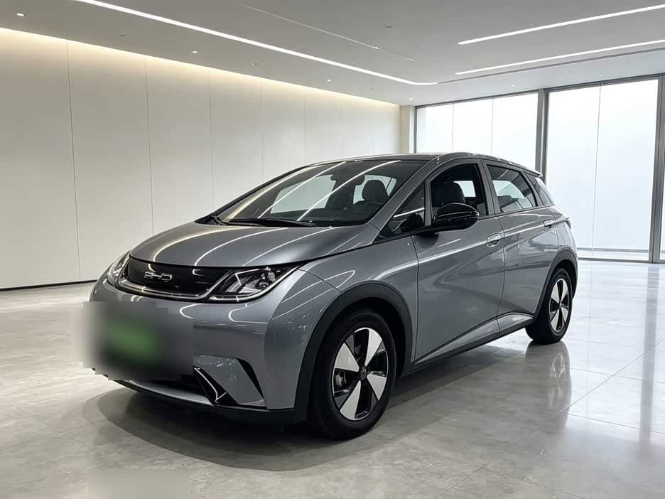 2024 BYD Dolphin front exterior