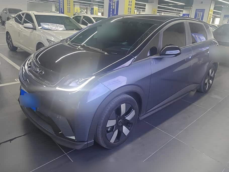 2024 BYD Dolphin front exterior