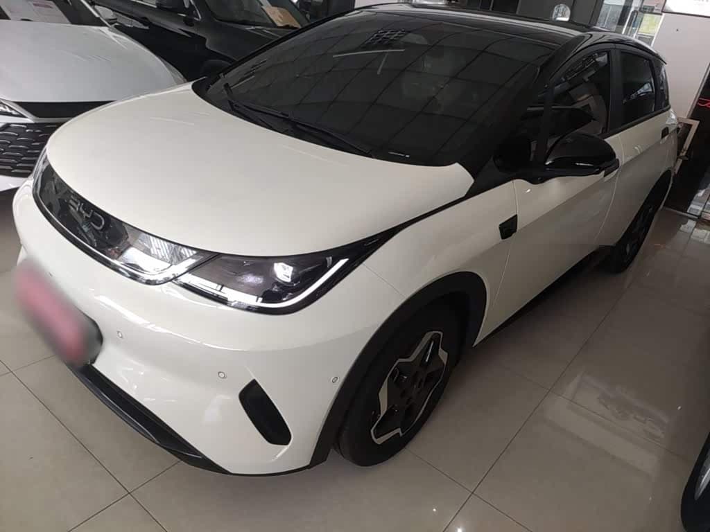 2025 BYD Dolphin front exterior