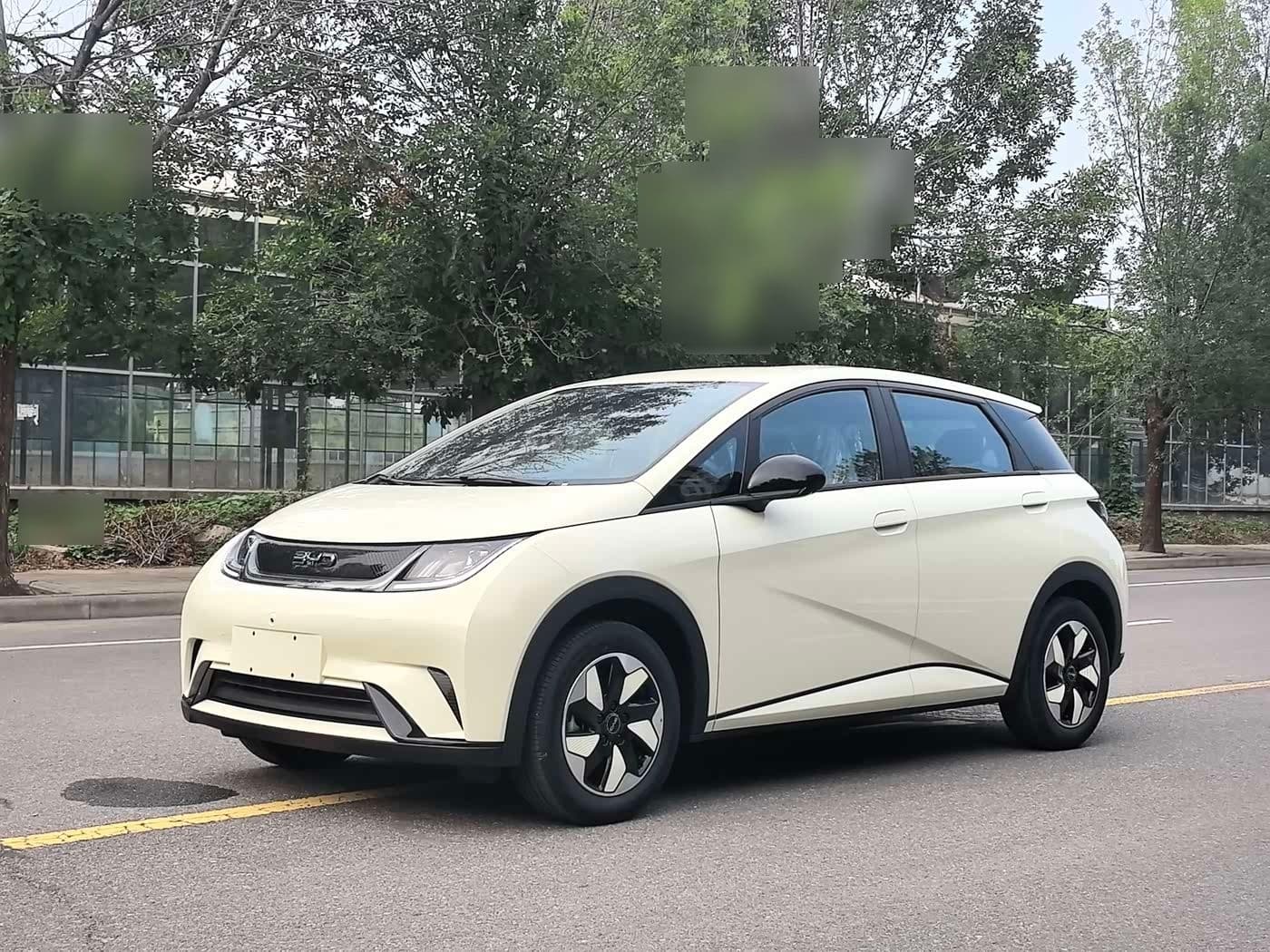 2024 BYD Dolphin