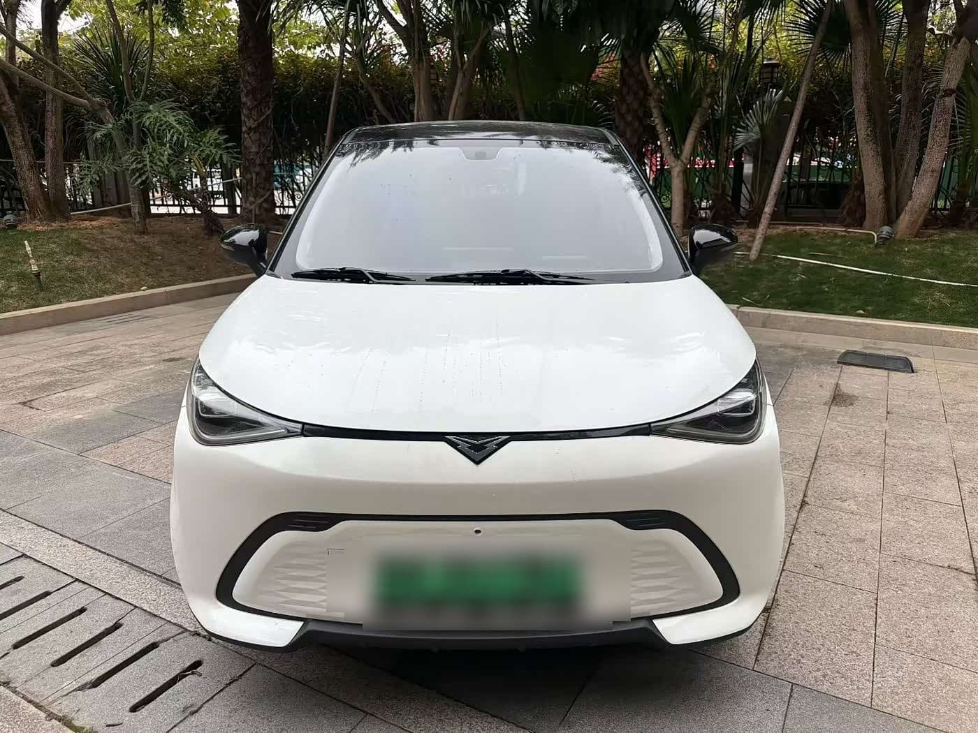 2025 Cowin October
