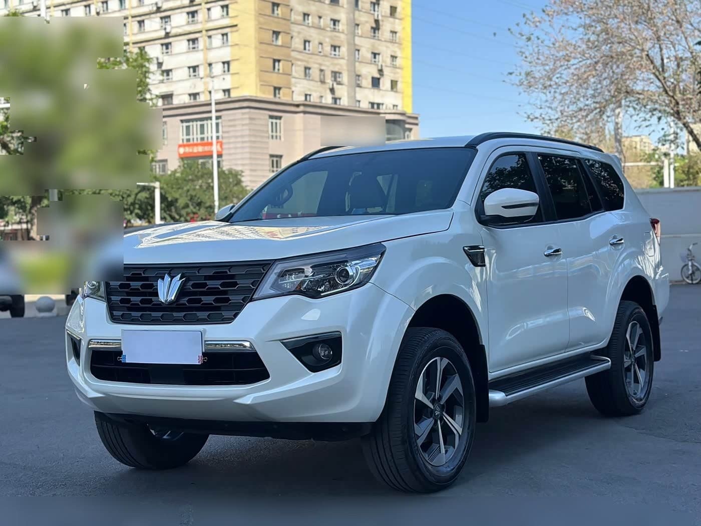 2024 Dongfeng Fengdu Paladin