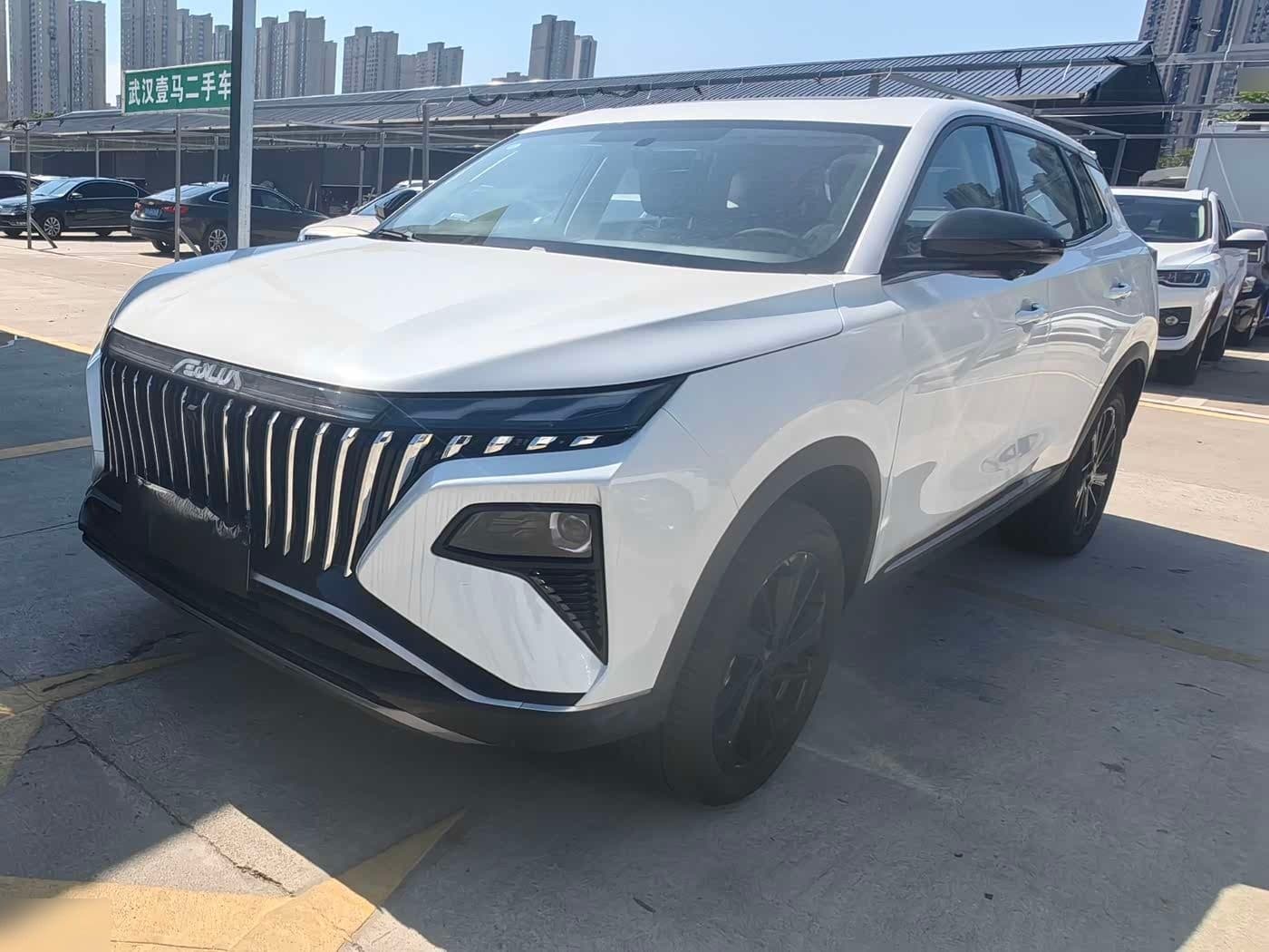 2024 Dongfeng Aeolus Haoji