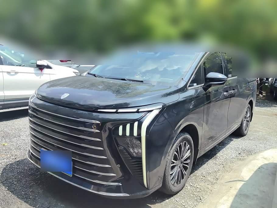 2024 Dongfeng Fengxing Starlight V9 front exterior