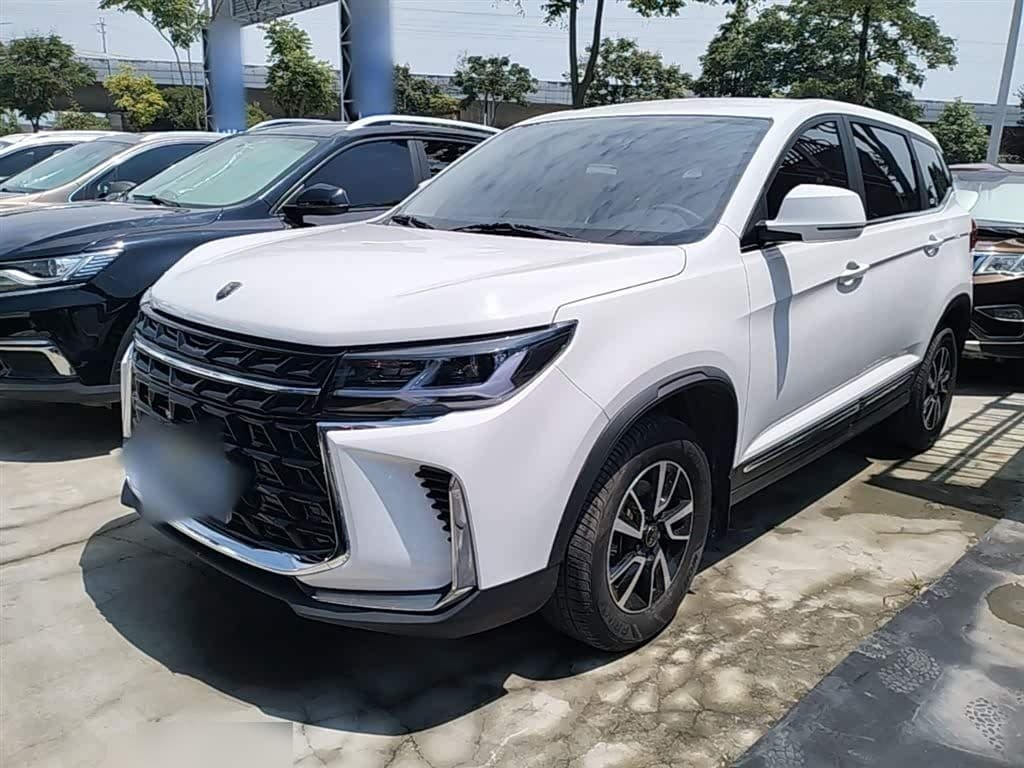 2023 Dongfeng Fengxing Fengxing T5