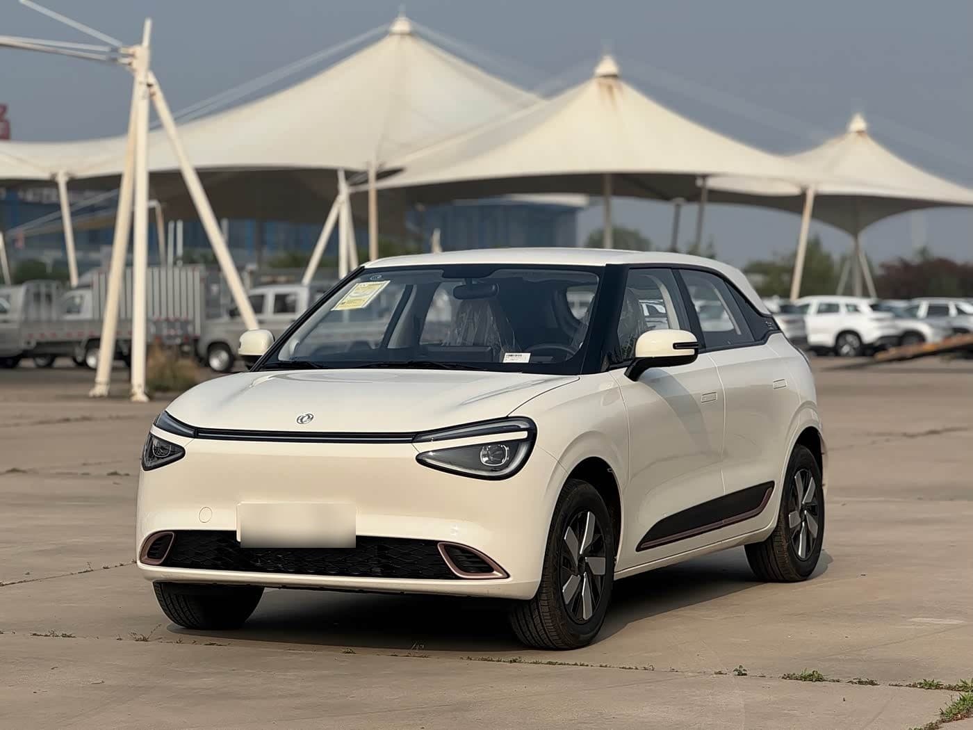 2025 Dongfeng Yipai Nano 01