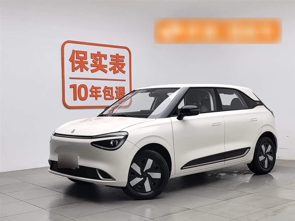 2024 Dongfeng Yipai Nano 01