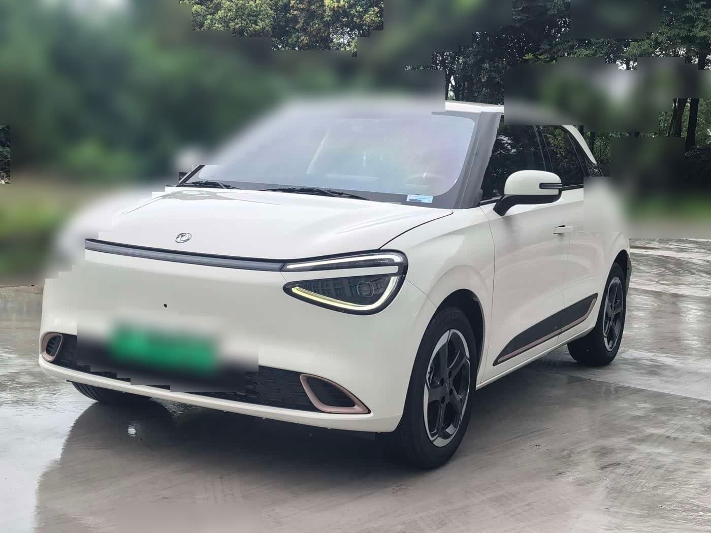 2024 Dongfeng Yipai Nano 01