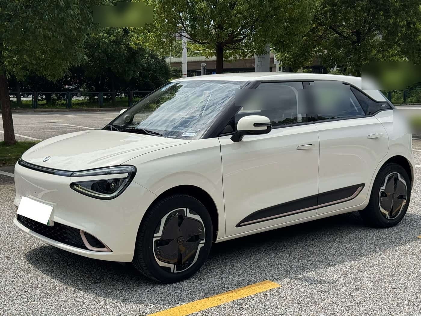 2024 Dongfeng Yipai Nano 01