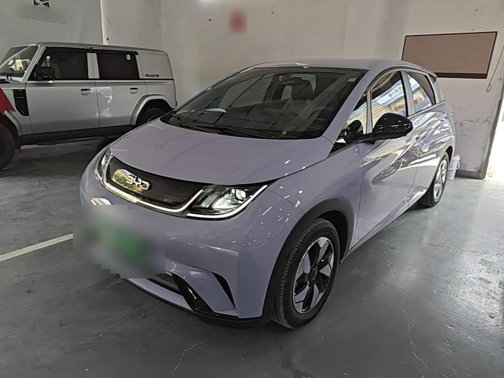 2024 BYD Dolphin front exterior