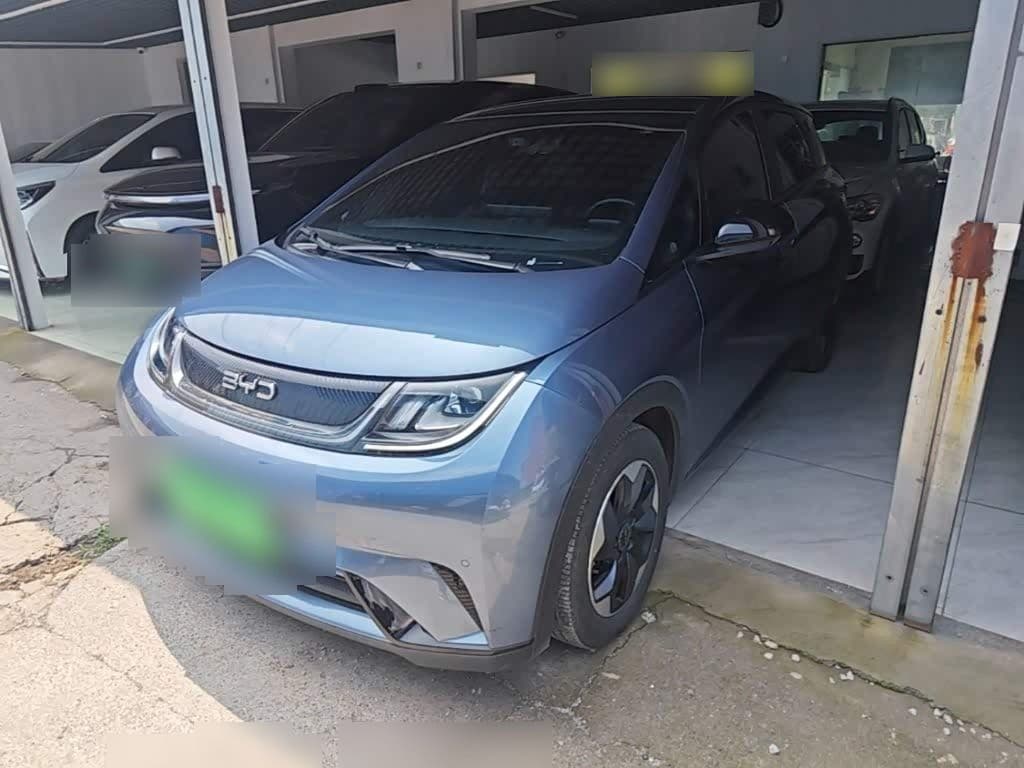 2024 BYD Dolphin front exterior