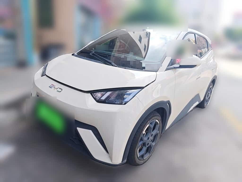 2024 BYD Seagull