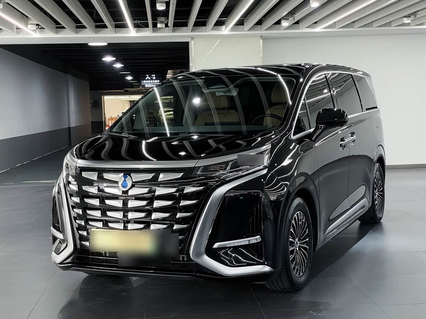 2024 Denza D9 front exterior