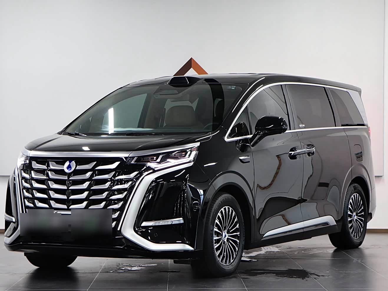 2024 Denza D9 front exterior