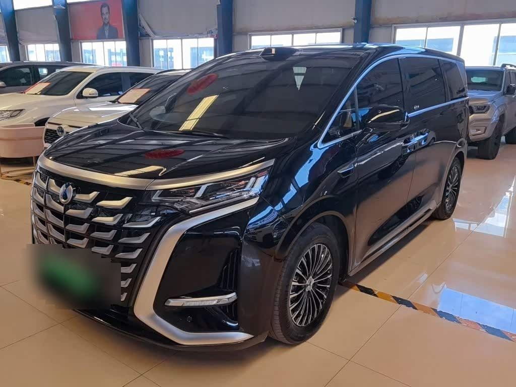 2024 Denza D9 front exterior