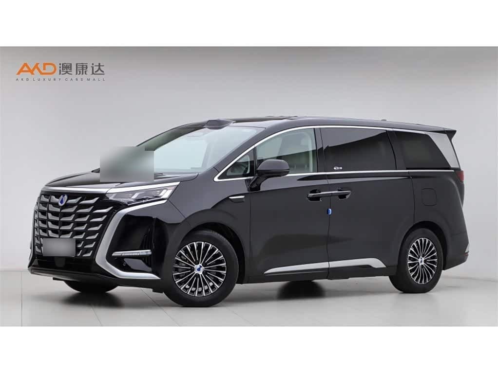 2024 Denza D9 front exterior