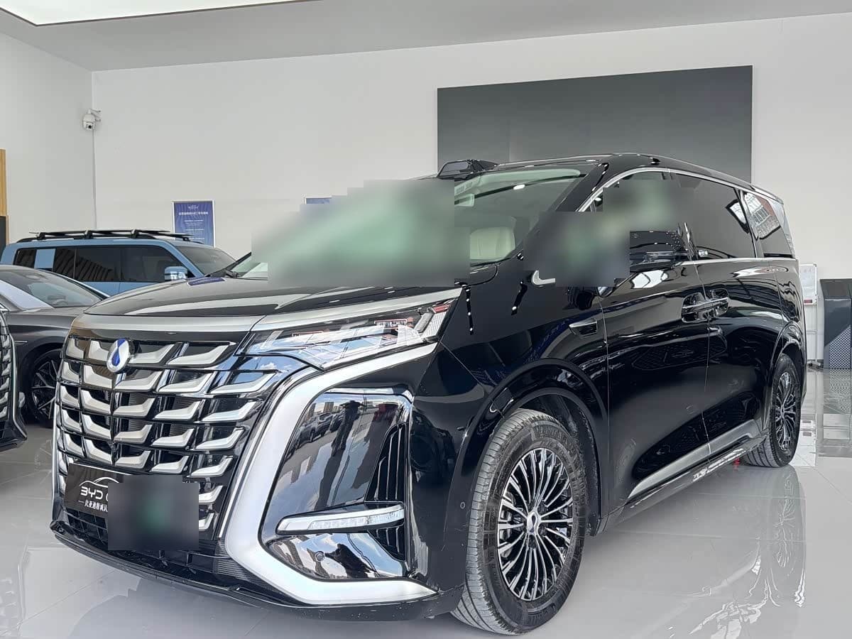 2024 Denza D9 front exterior