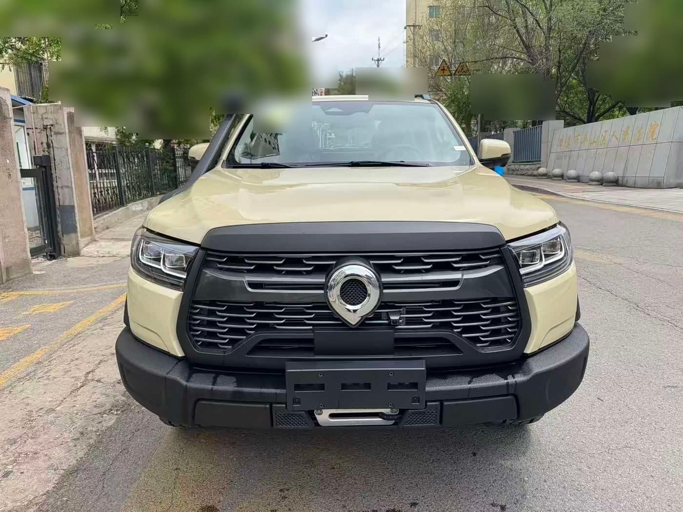 2025 Great Wall Pao front exterior