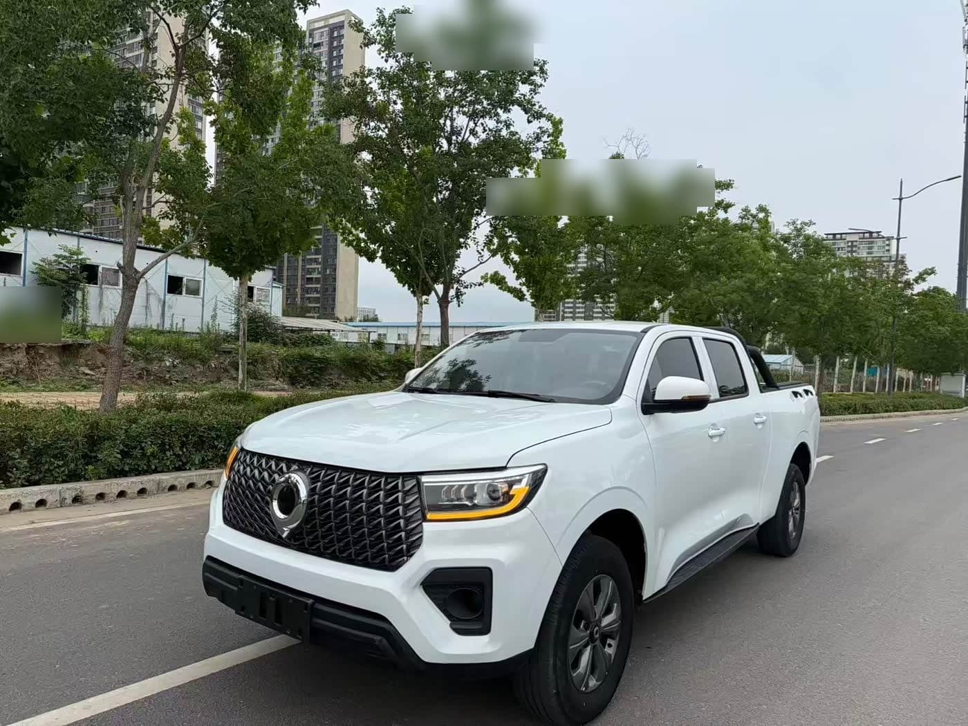 2023 Great Wall Pao front exterior
