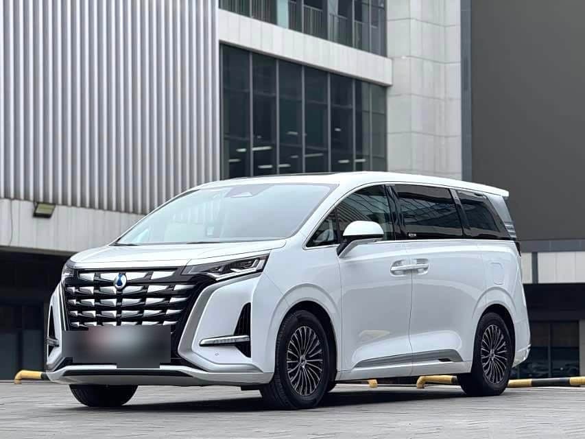 2022 Denza D9